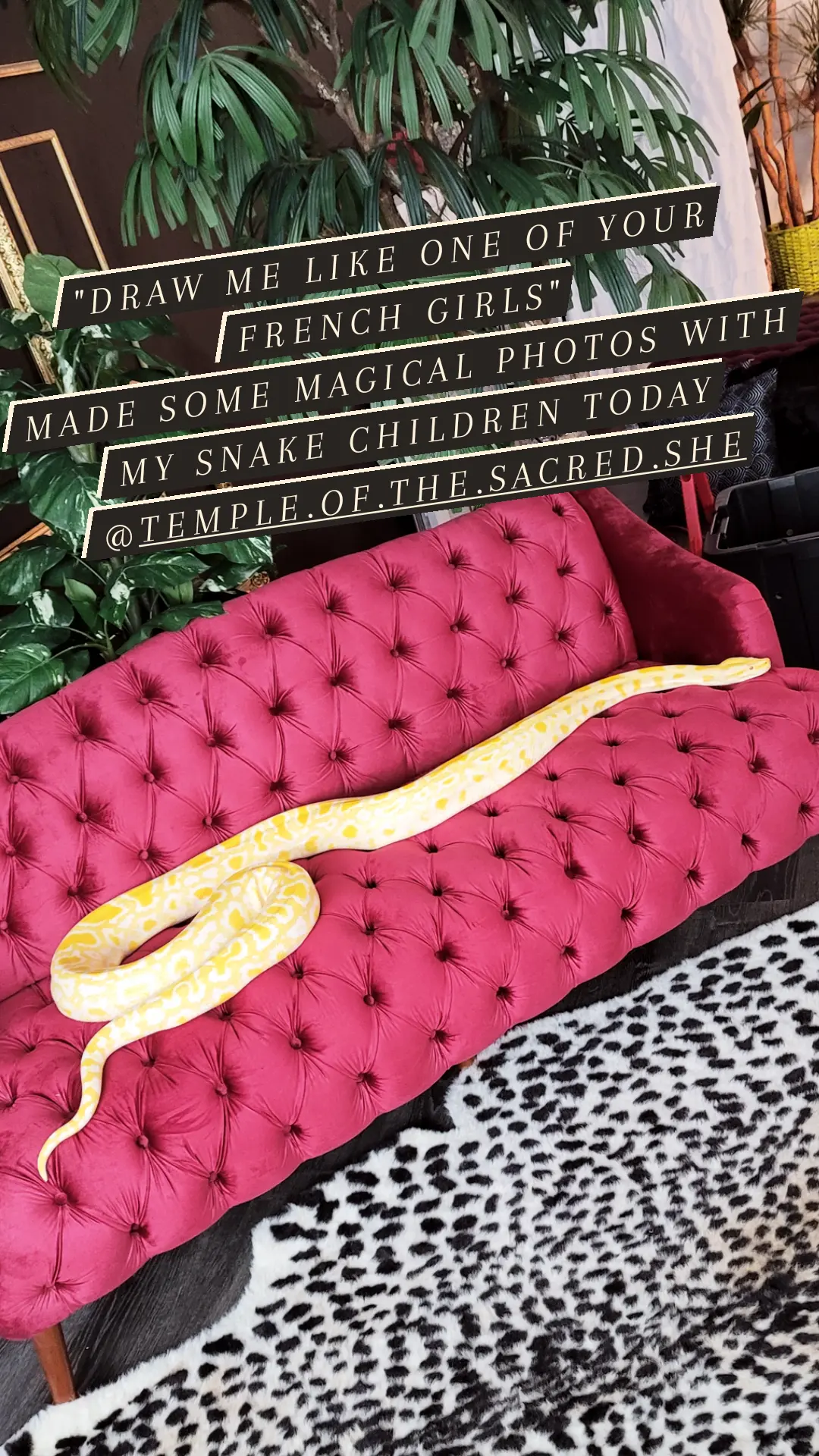 IMG 20211014 184601 8433